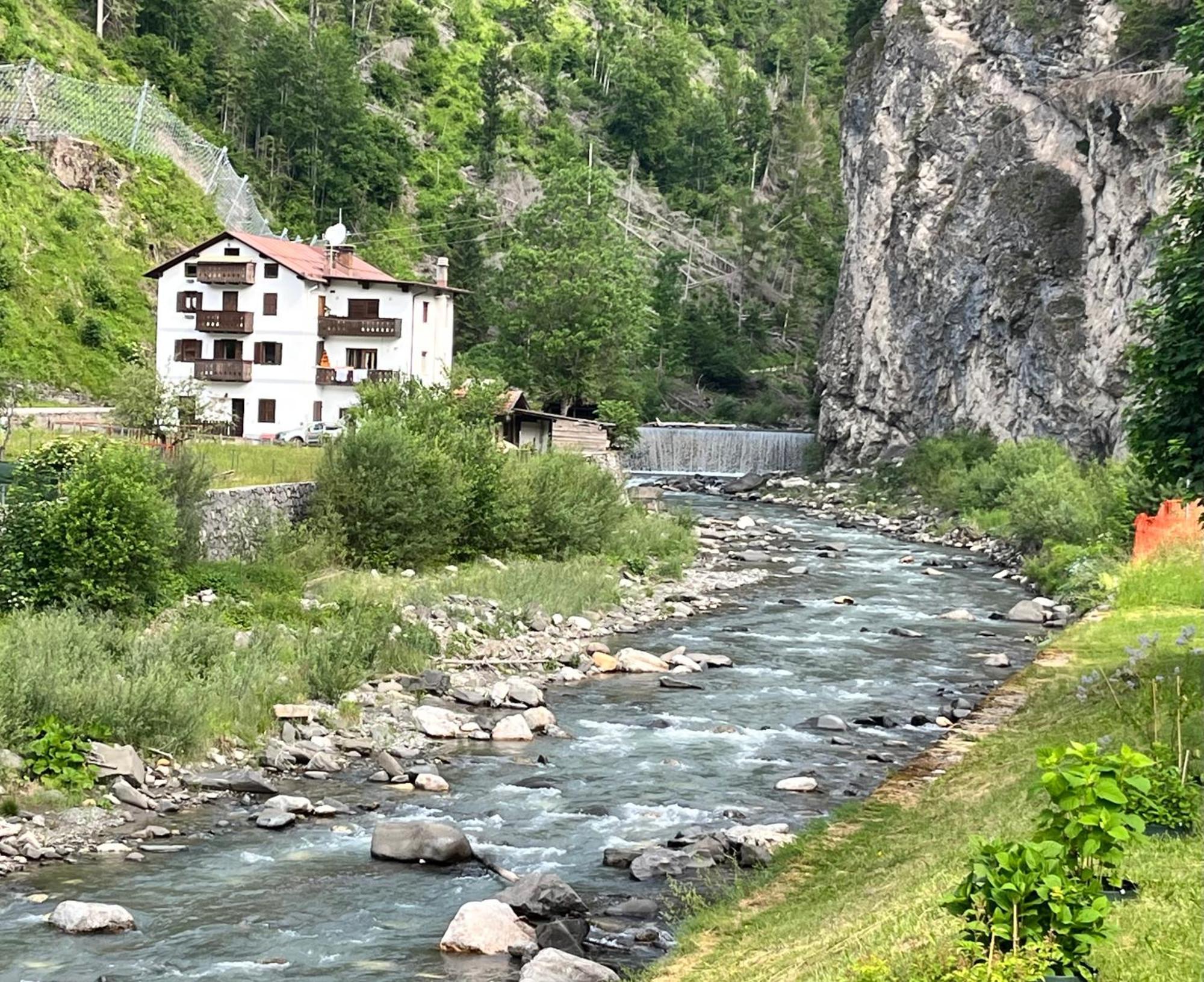 Casa Di Charme Sul Civetta Dolomiti Apartment Caprile  Ngoại thất bức ảnh