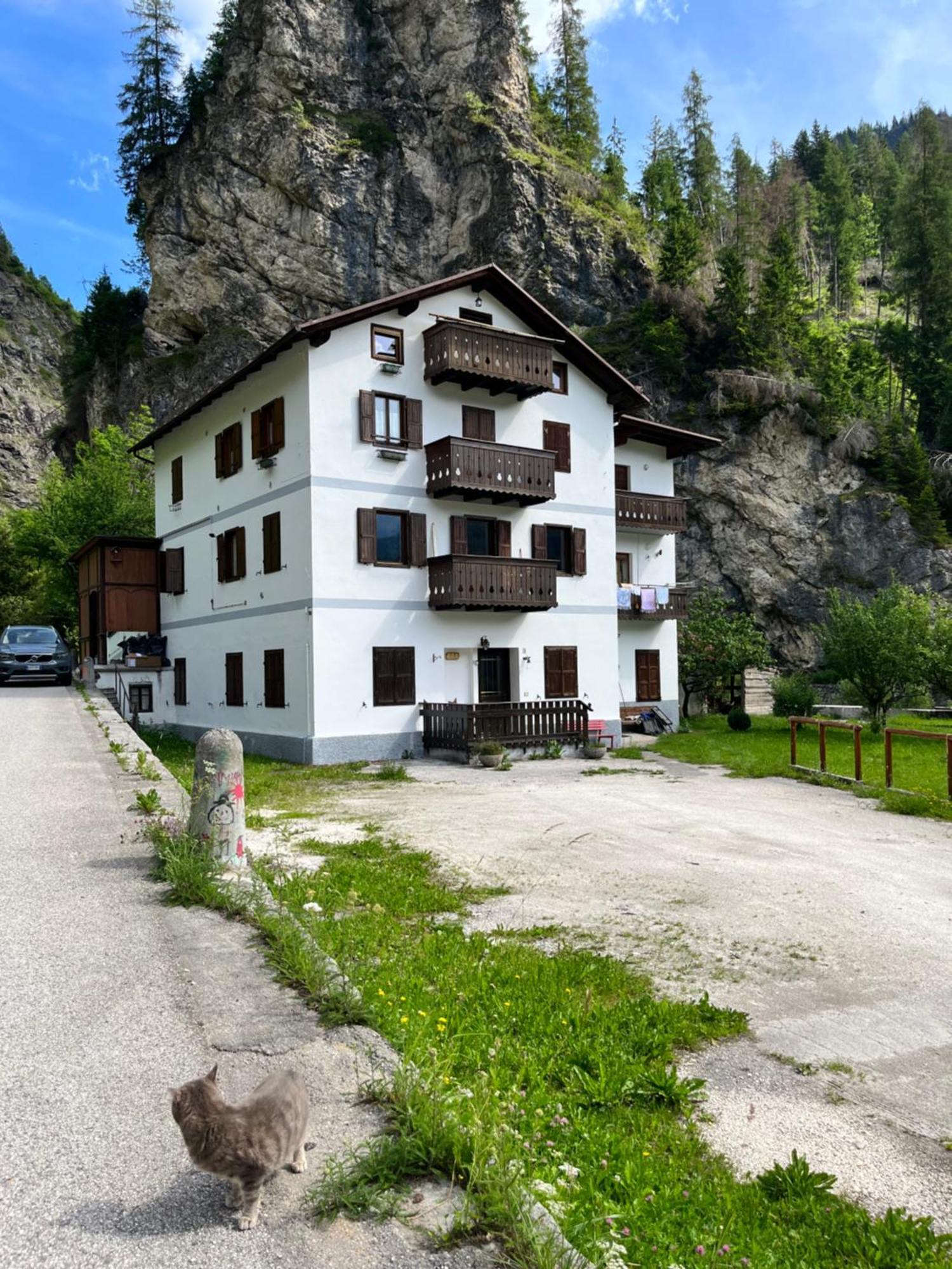 Casa Di Charme Sul Civetta Dolomiti Apartment Caprile  Ngoại thất bức ảnh